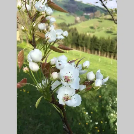 Ferienhaus Grossalber Holiday home Maria Neustift